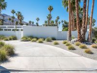 Palm Springs Villa: Concrete Surface