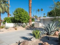 Mid-Century Modern Villa in Palm Springs