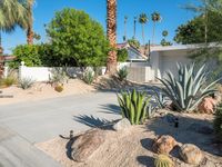 Mid-Century Modern Villa in Palm Springs