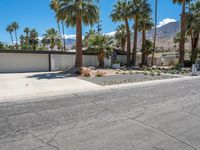 Palm Springs Villa: Surrounded by Palm Trees