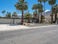 Palm Springs Villa: Surrounded by Palm Trees