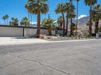 Palm Springs Villa: Surrounded by Palm Trees