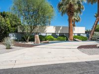 Palm Springs Villa: Palm Trees and Modern Architecture