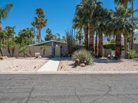 this is an image of a palm tree house in the desert with a driveway and palm trees