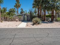 this is an image of a palm tree house in the desert with a driveway and palm trees