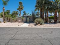 this is an image of a palm tree house in the desert with a driveway and palm trees