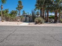 this is an image of a palm tree house in the desert with a driveway and palm trees