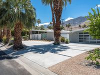 the front driveway has been paved with gravel in it and palm trees around the house