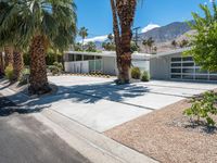 the front driveway has been paved with gravel in it and palm trees around the house