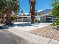 the front driveway has been paved with gravel in it and palm trees around the house