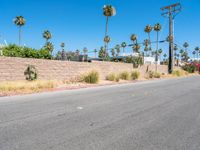 a paved street with a brick wall, and palm trees behind it and a fire hydrant beside it