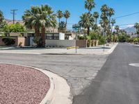 Palm Tree-Lined Road in California: Clear Sky