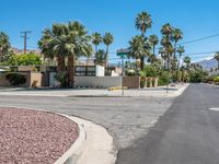 Palm Tree-Lined Road in California: Clear Sky