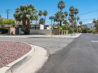 Palm Tree-Lined Road in California: Clear Sky