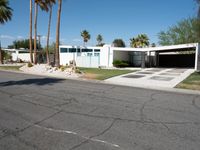 Suburban Living: Palm Tree-Lined Road in California