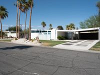 Suburban Living: Palm Tree-Lined Road in California