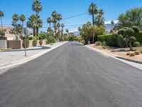 Palm Tree Lined Road in California, USA