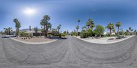 a fish - eye view of the road through the palm trees in the desert area