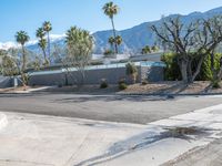 an empty driveway in front of mountains, palm trees and other architecture features throughout the space