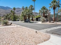 Palm Tree Lined Street in California