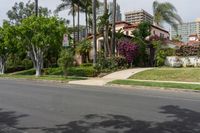 Palm Tree-Lined Streets of Los Angeles