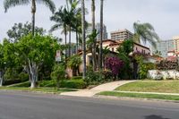 Palm Tree-Lined Streets of Los Angeles