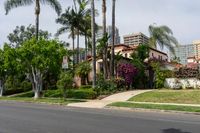 Palm Tree-Lined Streets of Los Angeles