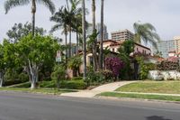 Palm Tree-Lined Streets of Los Angeles