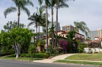 Palm Tree-Lined Streets of Los Angeles