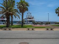 Palm Trees in Barcelona: A Clear Day on the Coastline