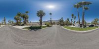 a fish eye lens is shown showing cars on a road at an intersection with palm trees and buildings