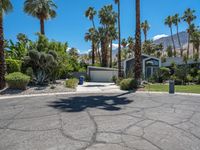 palm trees and bushes line this driveway in palm springs, california, usa, near a home on the desert