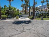 palm trees and bushes line this driveway in palm springs, california, usa, near a home on the desert