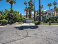 palm trees and bushes line this driveway in palm springs, california, usa, near a home on the desert