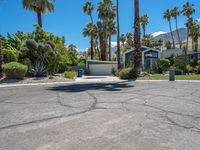 palm trees and bushes line this driveway in palm springs, california, usa, near a home on the desert