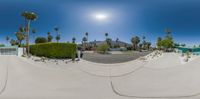 a man riding a skateboard up the side of a ramp with palm trees in the background