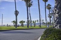 the street has several palm trees on it near the water with people in the distance