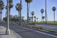 an empty street with some palm trees near a curb with a sign indicating a curve