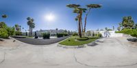 a wide angle view of palm trees in a residential area on an empty street with a van