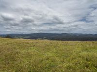 there is a field with yellow flowers and green hills in the background with clouds above