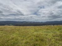 there is a field with yellow flowers and green hills in the background with clouds above