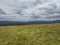 there is a field with yellow flowers and green hills in the background with clouds above