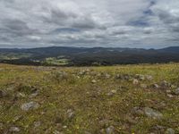 a field covered with lots of grass and rocks and flowers in the center and out of it is a mountain view