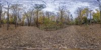 there is a small circular panorama on the ground near trees in this picture, looking like a fisheye lens