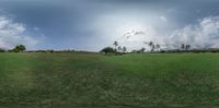 a grassy field and trees under a cloudy blue sky that appears to be seen in a panoramic view