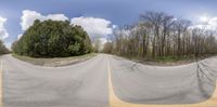 multiple angle photos of trees in the background from a panoramic view of an empty road