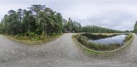 a panoramic view of a pond and dirt road surrounded by woods with tall trees