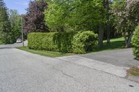 Panoramic View of a Residential Area in Toronto