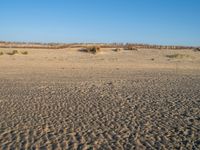 Panoramic View of Singing Sand Dune in Holland, Netherlands