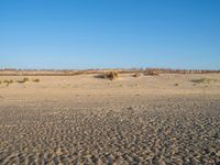 Panoramic View of Singing Sand Dune in Holland, Netherlands